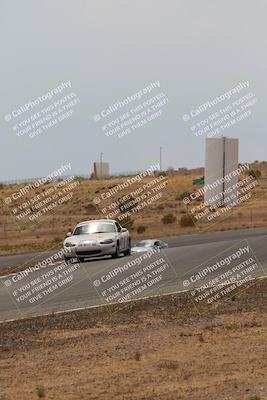 media/May-03-2025-Lucky Dog Racing (Sat) [[206de64b9d]]/Turn 6 (150pm-230pm)/